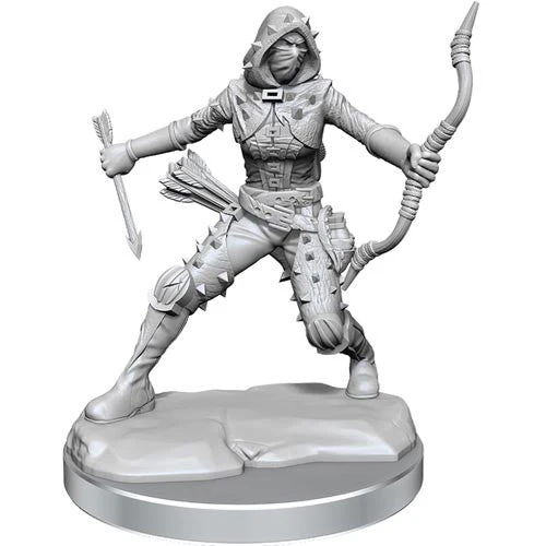D&D Frameworks W1 - Female Human Rogue