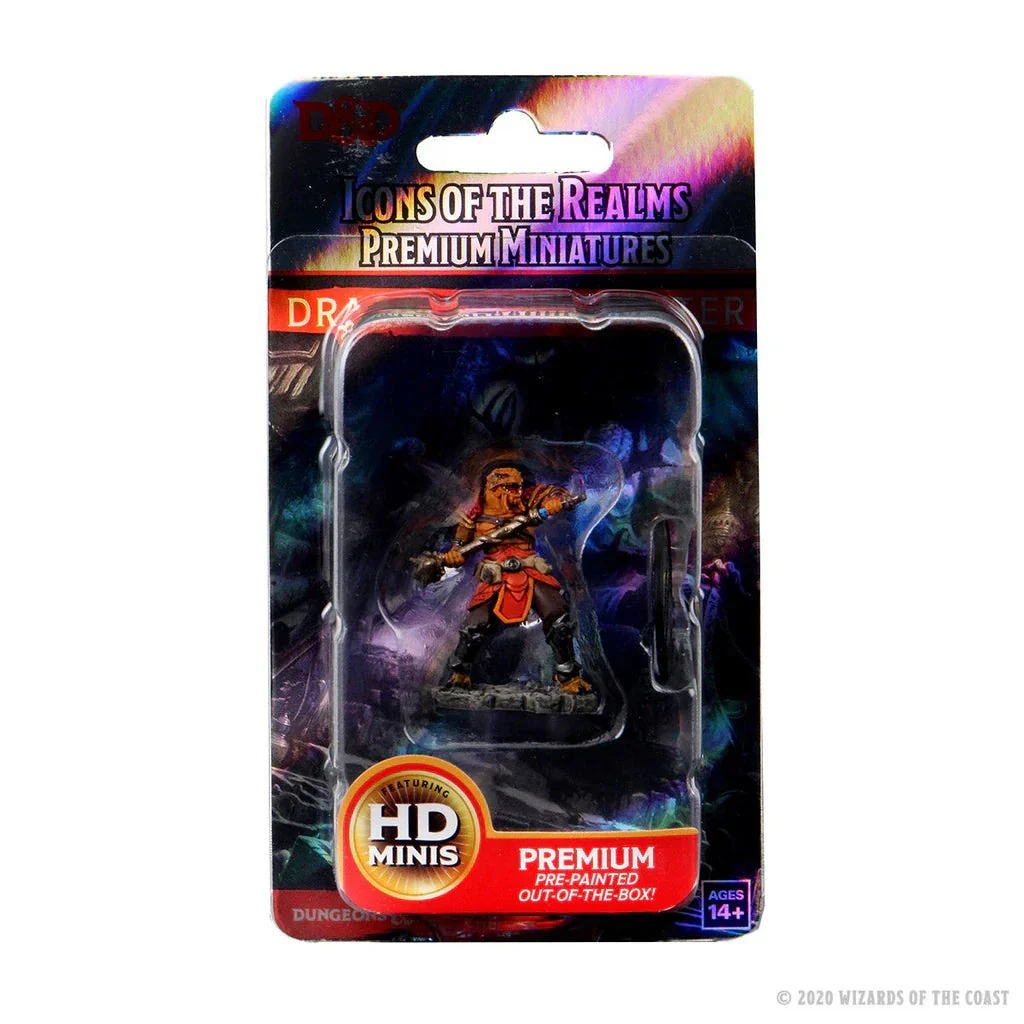 D&D Nolzur’s Marvelous Premium Miniatures: Male Dragonborn Fighter