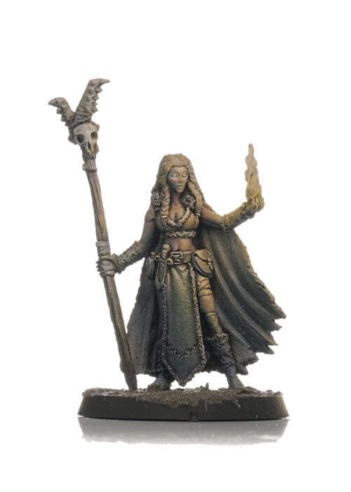 Krumvaal Northern Alliance: Icemaiden Druid