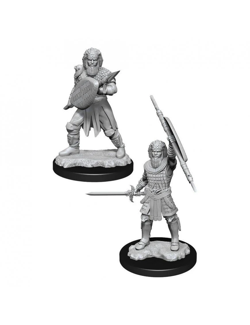 Nolzur's Marvelous Miniatures: Human Fighter